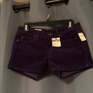 Brand new Gap corduroy shorts in navy blue